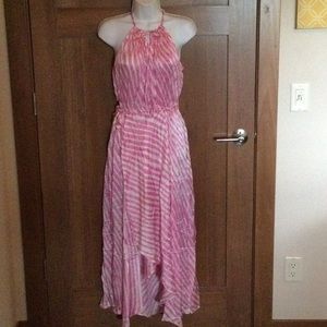 Gorgeous Sundance, 100%Silk Dress, NWOT, Sz Lg